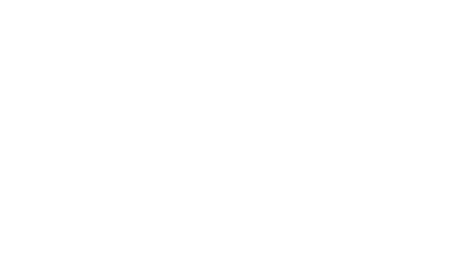 IE4A